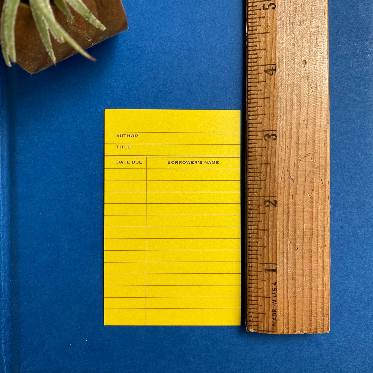 Mini Notecard Set of 60 - Yellow Library Flat Cards - Lunch Notes - Mini Cards - Enclosure cards